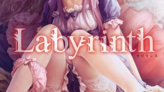 Labyrinth【FANZA限定特典付き】のアイキャッチ画像